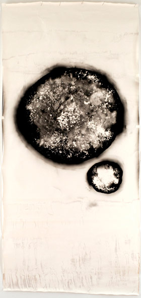 Anne_Arden_McDonald_fragility.jpg